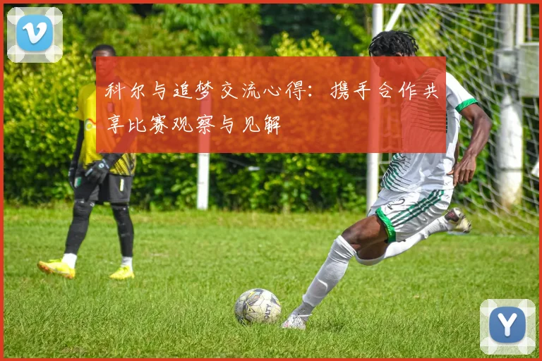 科尔与追梦交流心得：携手合作共享比赛观察与见解
