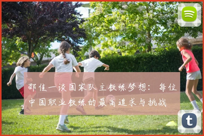 邵佳一谈国家队主教练梦想：每位中国职业教练的最高追求与挑战