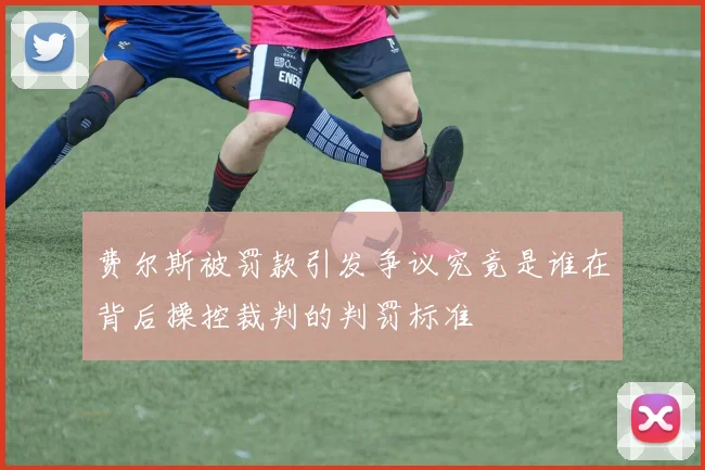 费尔斯被罚款引发争议究竟是谁在背后操控裁判的判罚标准